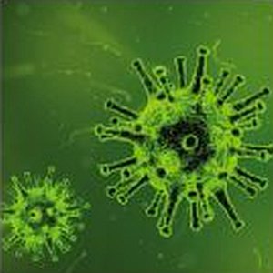Viruses